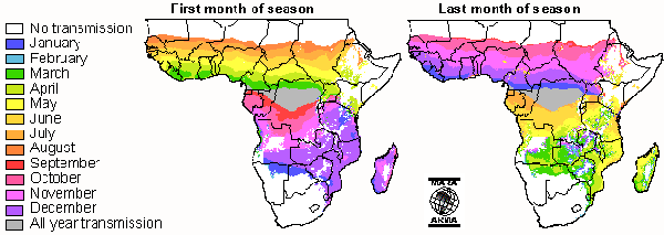 malaria afrika seizoen afhankelijk