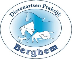 Logo Dierenartsenpraktijk Berghem