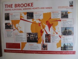Brooke overal in de wereld