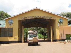 2 27 entree in het beroemde Ngorongoro Krater park met de Masai krijgers