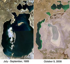 aral zee 1989 en 2008